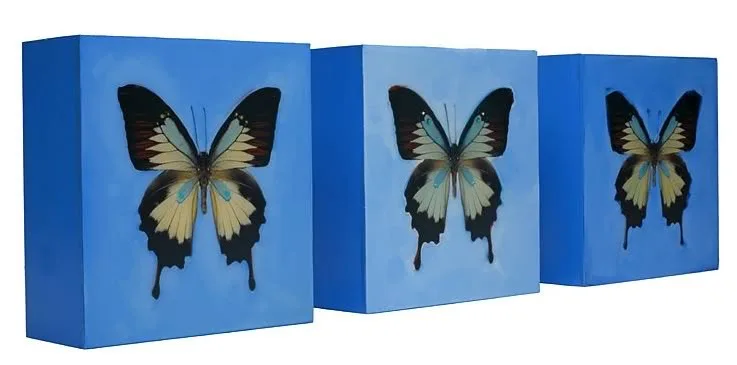 Butterfly, Butterfly Fly Away Home (Which is Actually a Really Dark Rhyme When You Learn the Words)