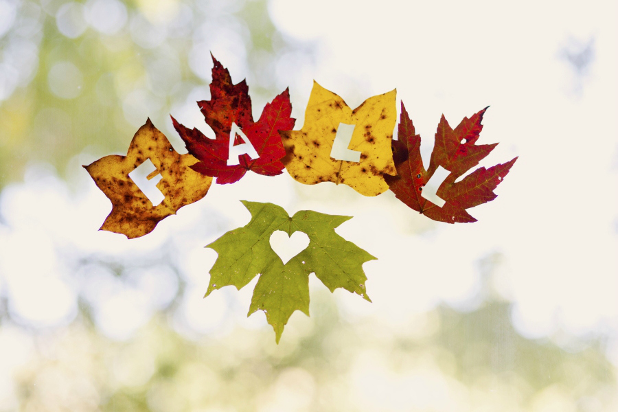 We love these simple, fall-ish crafts to make with leaves!
