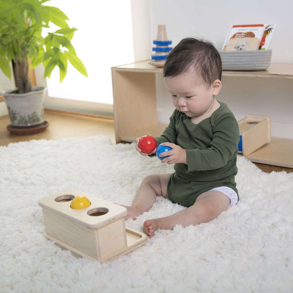 Monti Toys Montessori subscription includes learning toys like push balls + helpful resources for parents (sponsor)