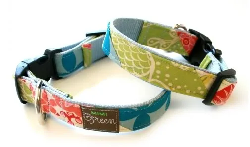 Cool dog picks - the coolest thing for the coolest kids' doggies