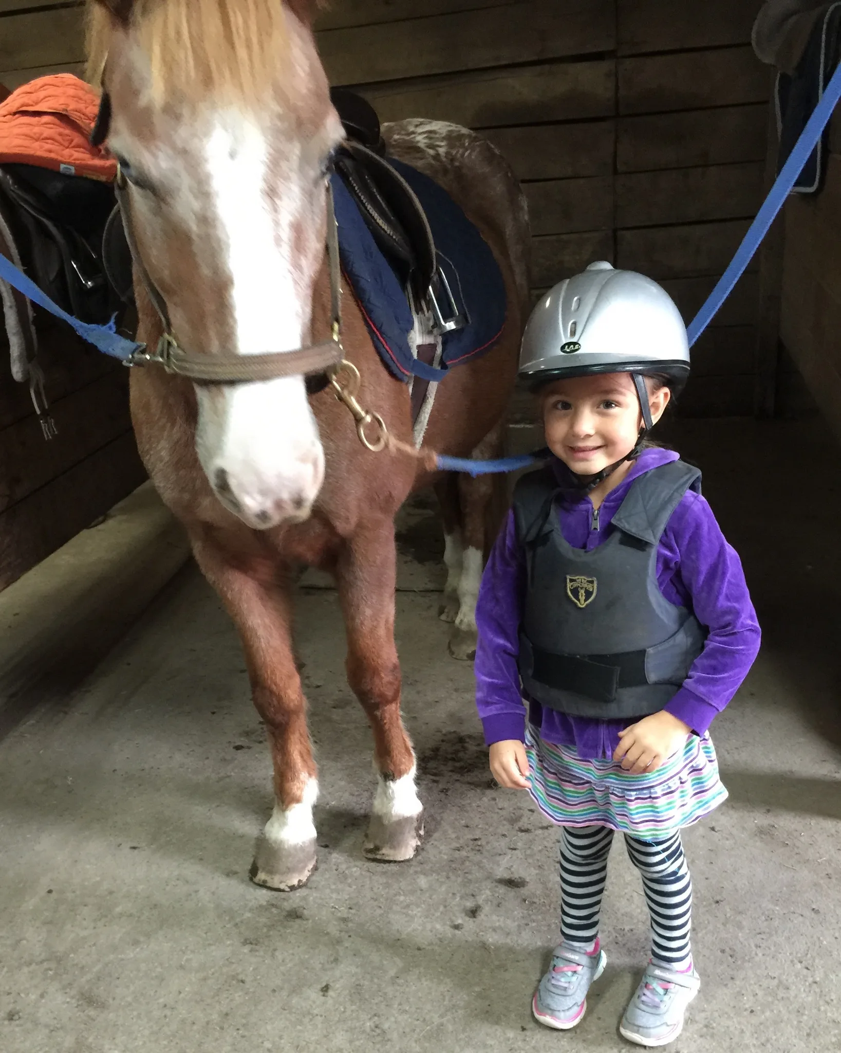Lessons learned from horseback riding: Courage