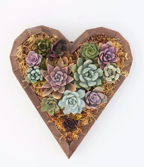 This DIY kit from Succulent Gardens makes a thoughtful Valentine's Day gift for a special friend