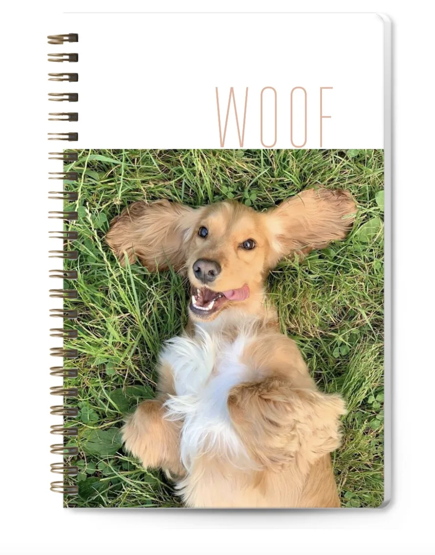 Cool camp care package ideas: A new journal that can double as stationery paper