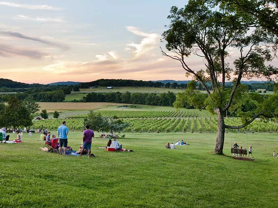 Things to do in Nashville with kids: Enjoy the music and scenery at Arrington Vineyards