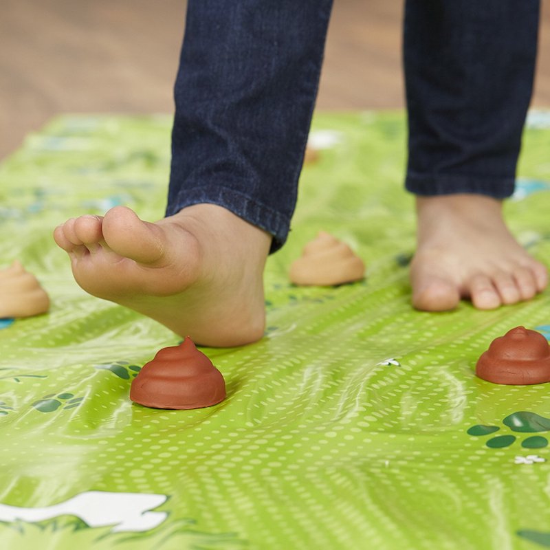 Gross family games: Don't Step In It