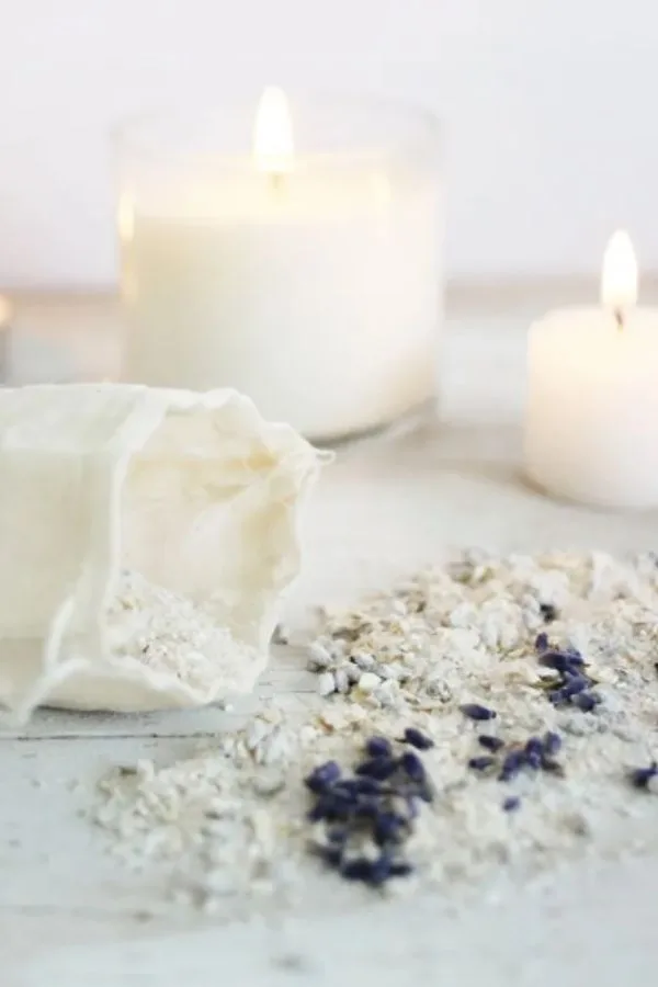 DIY holiday gifts: A plant with these free printable