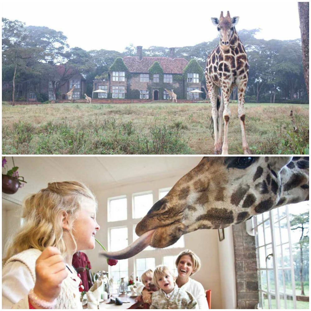 Coolest vacations to take with the kids: Giraffe Manor in Kenya