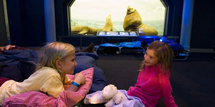 Outrageous birthday party ideas: American Museum of Natural History