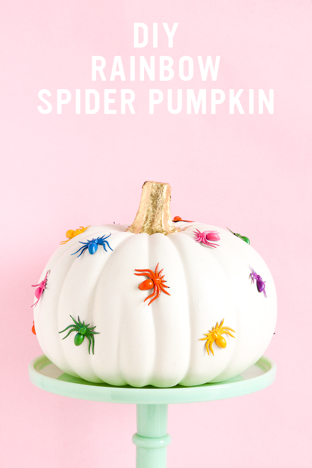 No-carve pumpkins for Halloween: DIY rainbow spider pumpkin | A Bubbly Life 
