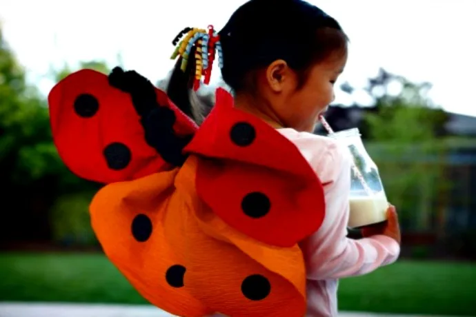 Gifts for four year olds: Kiwi Crate wings