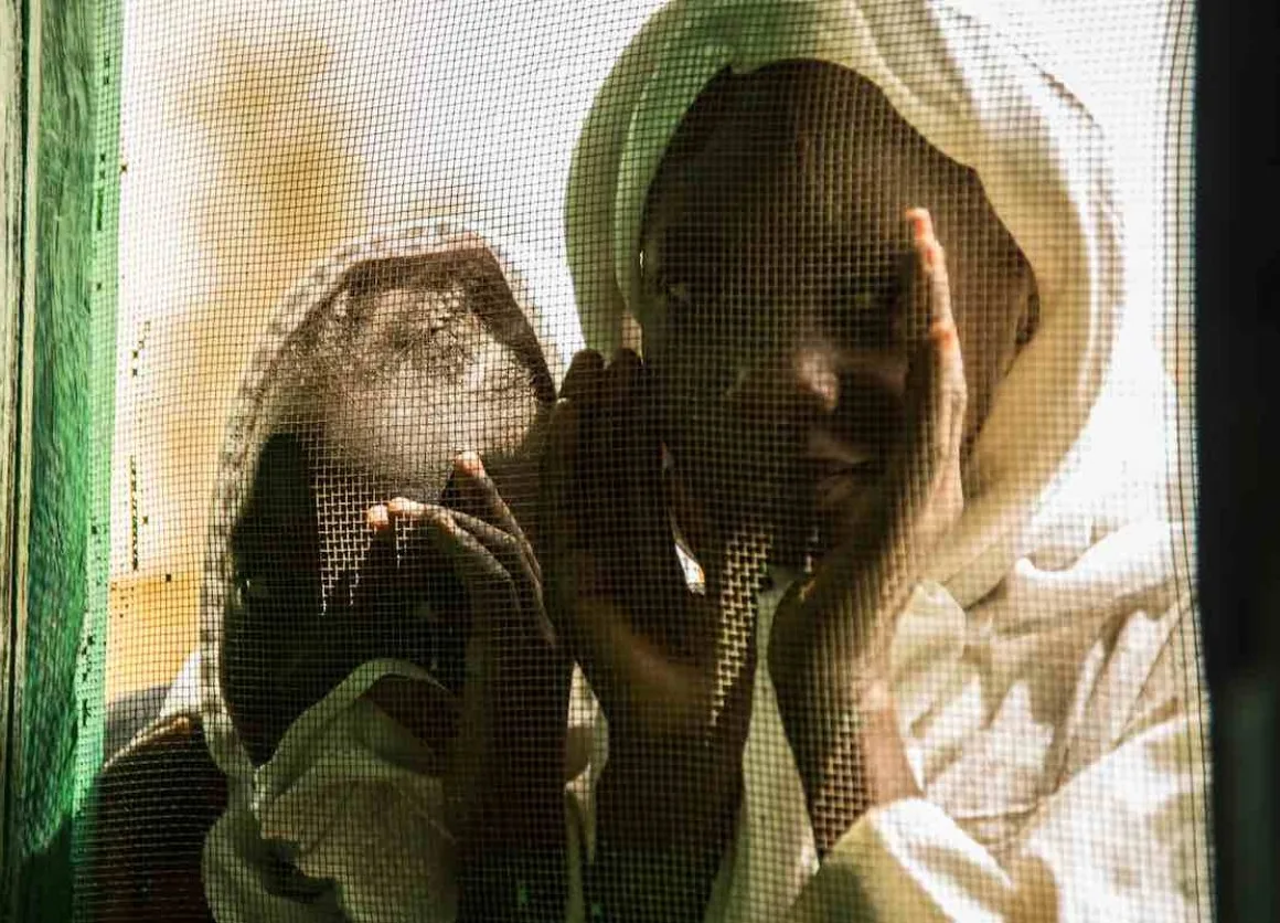 Sudan is located in northeastern Africa