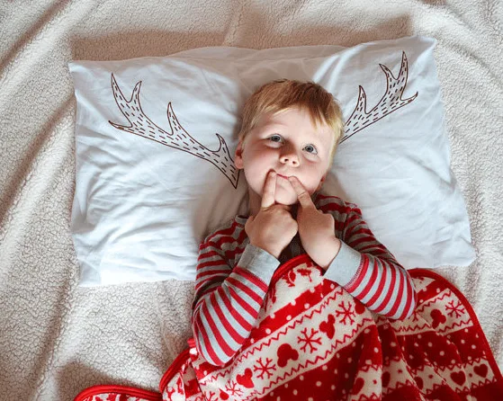 Reindeer antler pillowcase
