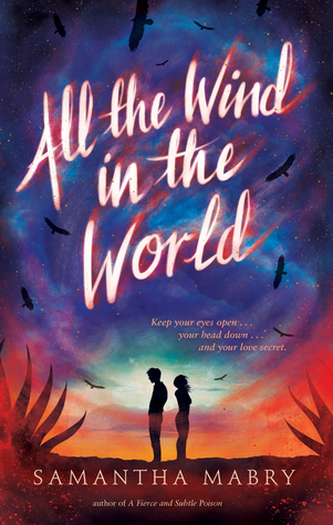 2017 National Book Awards: All the Wind in the World by Samantha Mabry