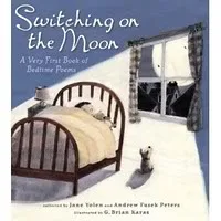 Switching On The Moon