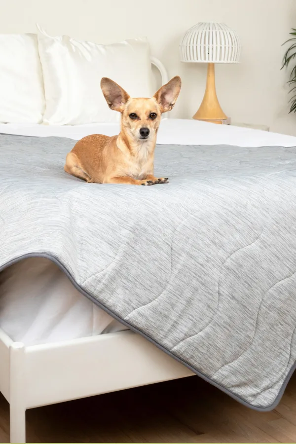 Pet essentials for summer: PetSheets are shed-resistant, anti-microbial cooling blankets that humans love too