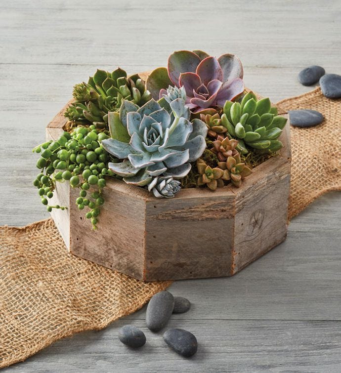 Flower alternatives for Mother's Day: succulents in a reclaimed wooden crate is rustic and beautiful with any decor