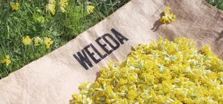 Weleda, take me away!