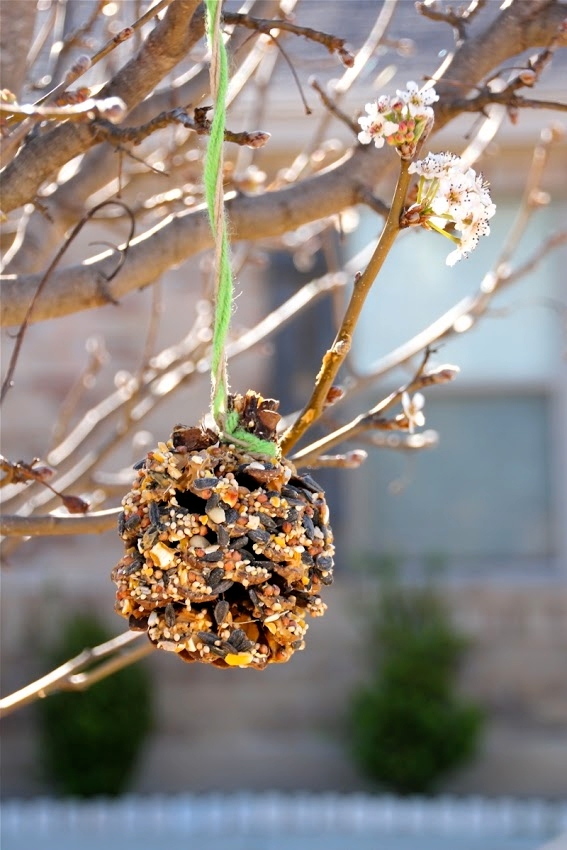 Make a DIY bird feeder from Dana Made It for Earth Day