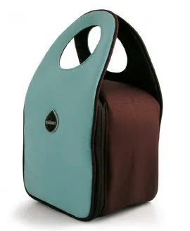 Oh swanky lunch tote, where have you been all my life?