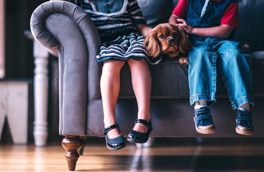 Licefreee is a great non-chemical solution to help parents get rid of lice