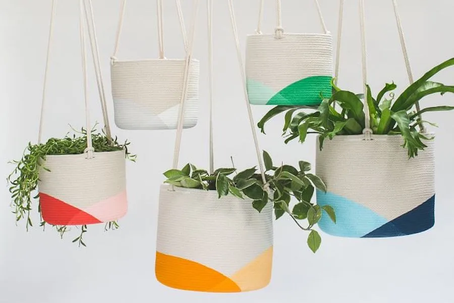 8 stylish planters that totally zhuzh up your living space