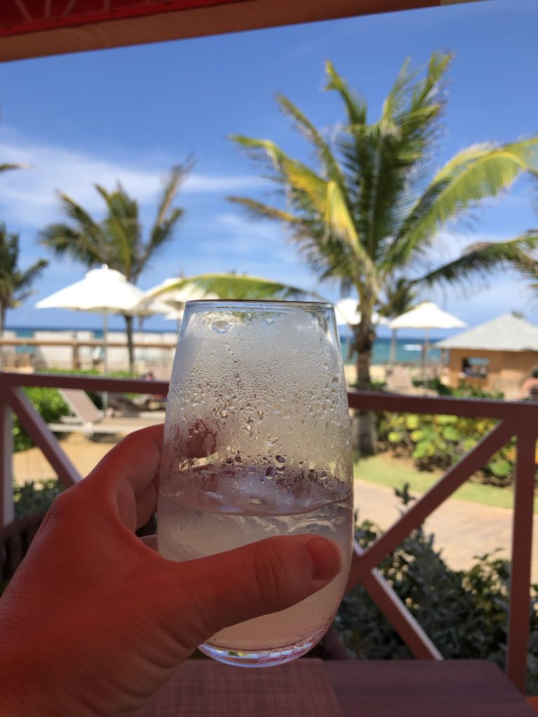 Food and dining tips for your Nickelodeon Punta Cana Resort vacation