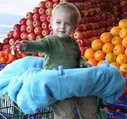 Shopping Cart Covers as Organic as the Stuff Inside the Cart (Right?)