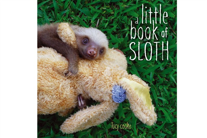 Sloth Week: A Little Book of Sloth | Cool Mom Picks