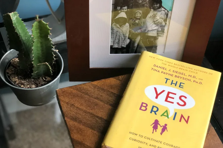 The Cool Mom Picks book club Selection 7: The Yes Brain