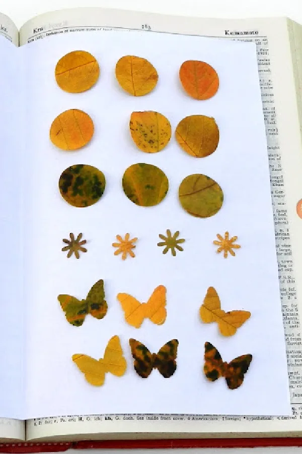 Leaf Alphabet DIY craft for kids via Martha Stewart