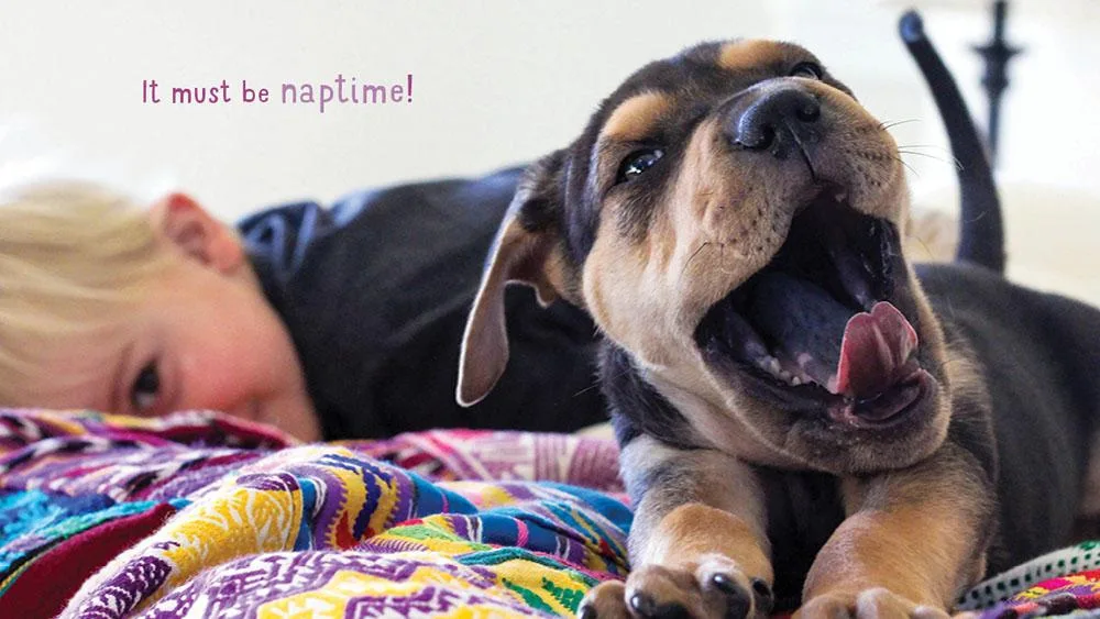 Naptime with Theo and Beau book for kids