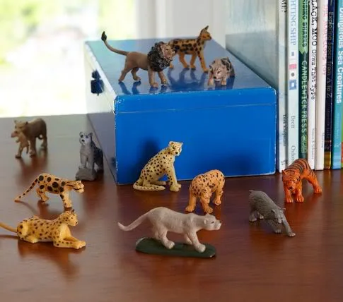 Here kitty, kitty kitty...