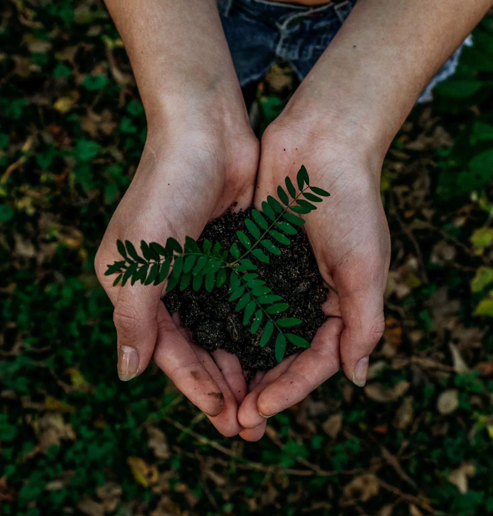 Tips from parents who have lost: What to say to a grieving parent