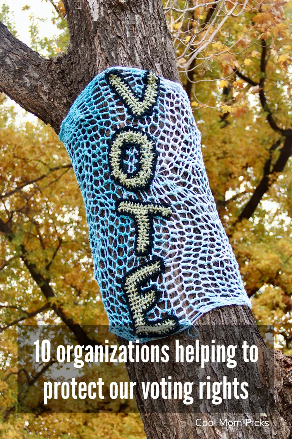 10 voting rights organizations we're supporting to protect free and fair elections