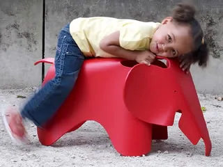 The elephant in the room... is adorable
