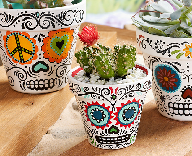 Daisy Eyes Sugar Skull Planters | Plaid Online