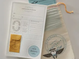 Tooth fairy kits for the super organized tooth fairy
