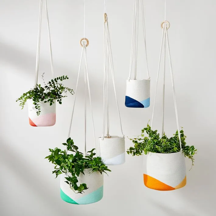 The best indoor planters to zhuzh up your living areas: Colorful hanging planters by Closed Mondays at West Elm