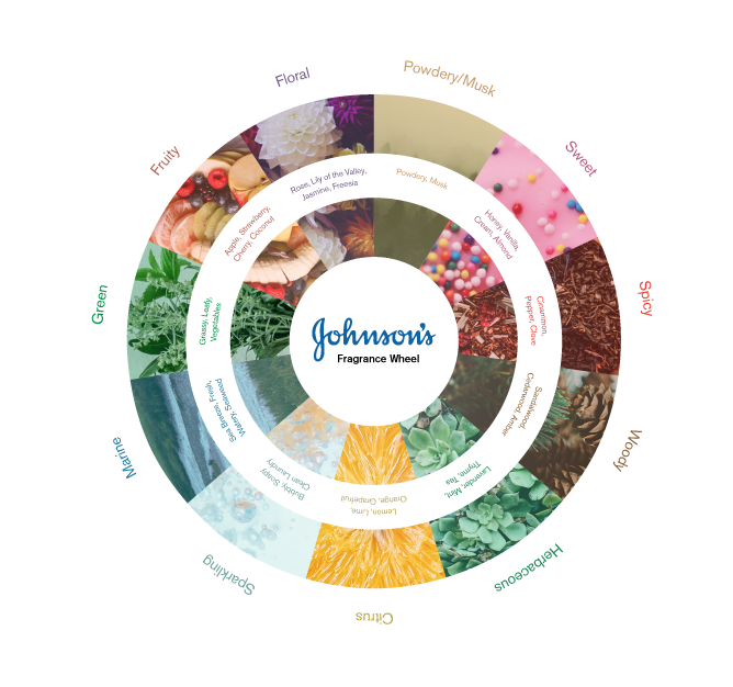 The fragrance wheel of Johnson's scents for baby (sponsor