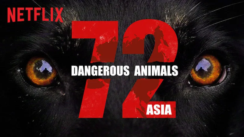 Educational documentaries for kids: 72 Dangerous Animals