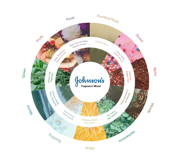 The fragrance wheel of Johnson's scents for baby (sponsor