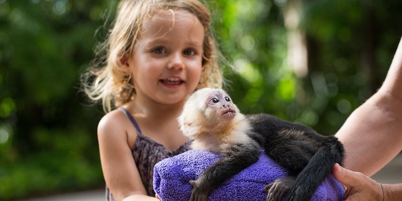 Outrageous birthday party ideas for kids: Jungle Island