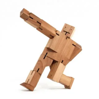Transforming the typical robot toy