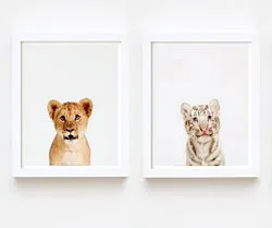 Wonder pets for the walls.